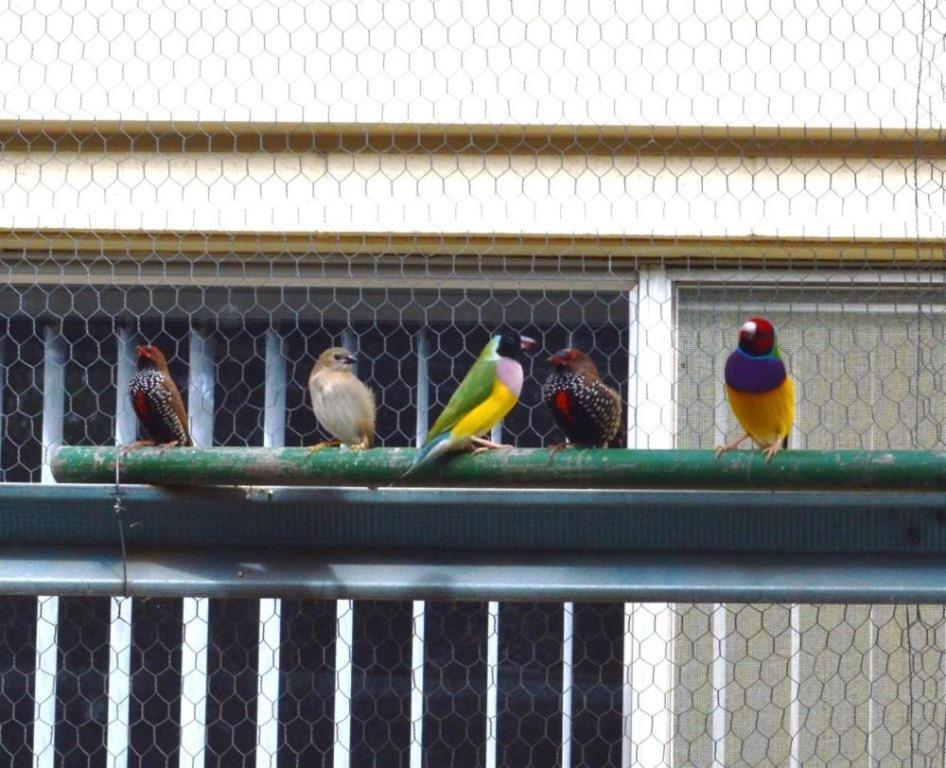 רנמארק Paringa Caravan Park מראה חיצוני תמונה